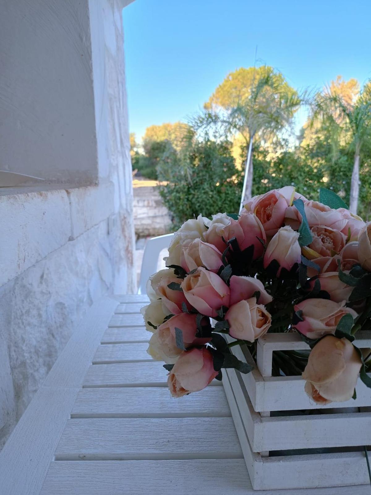 Villa Brachychiton Ostuni Exteriér fotografie
