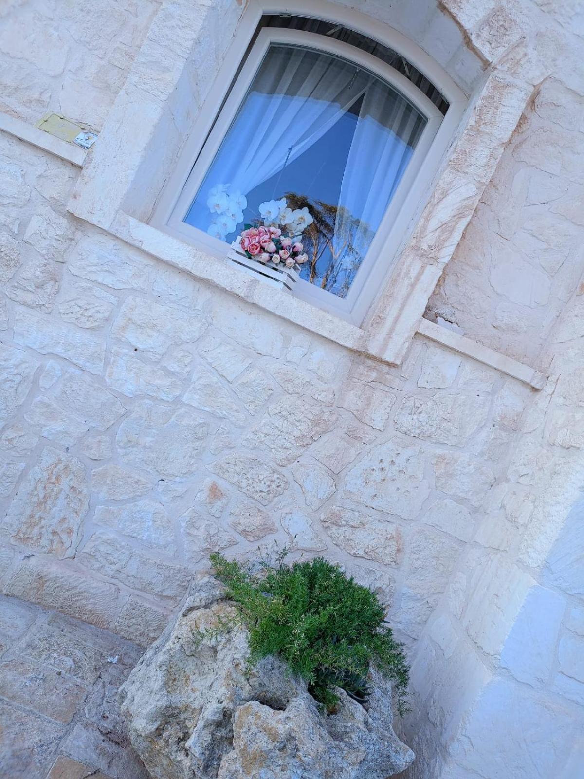 Villa Brachychiton Ostuni Exteriér fotografie